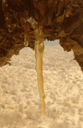 Maydi Frankincense Cleansing Oil
