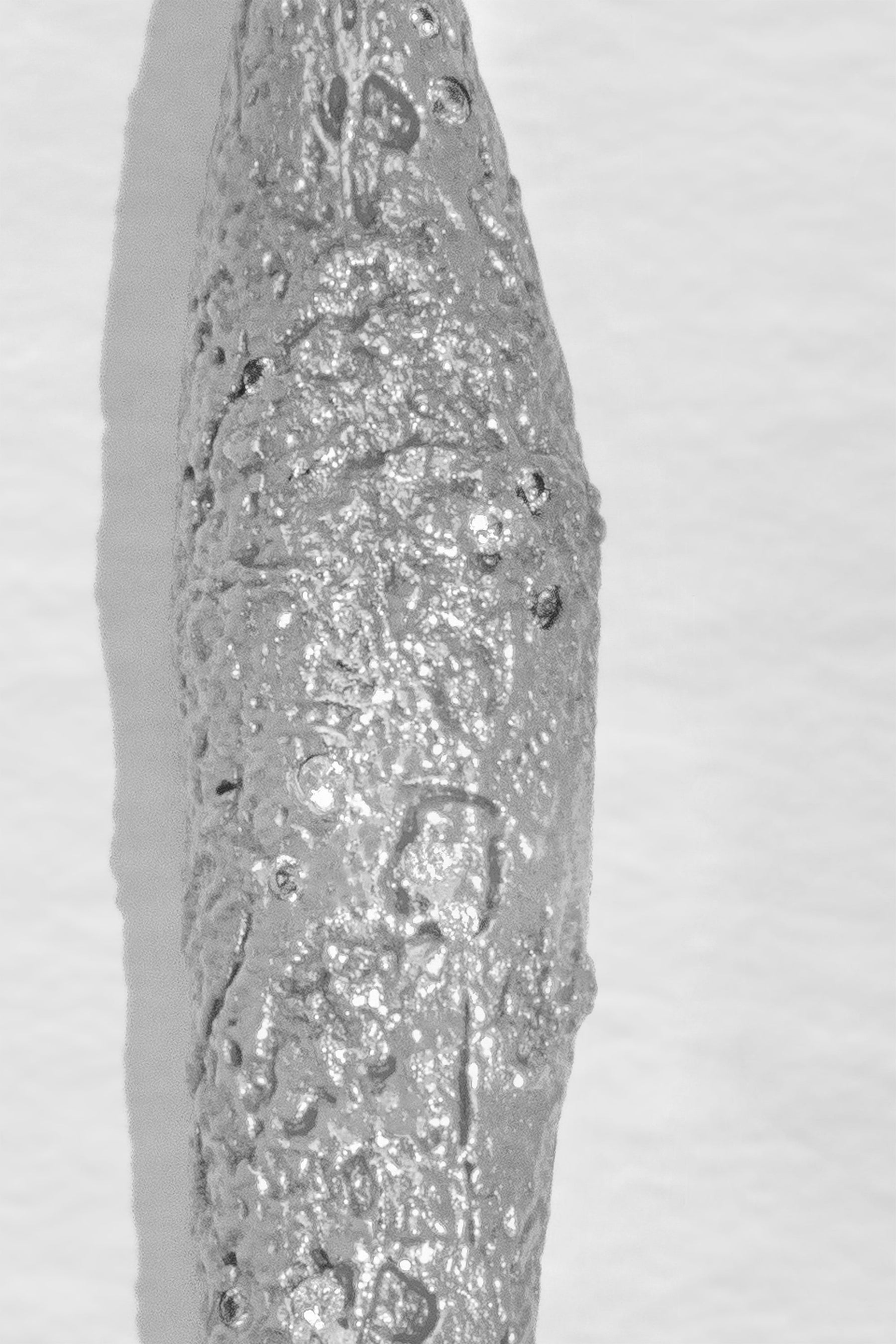 Artemis Pendant