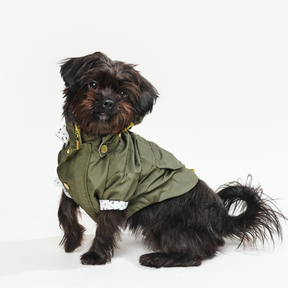 Military Green Dog Raincoat