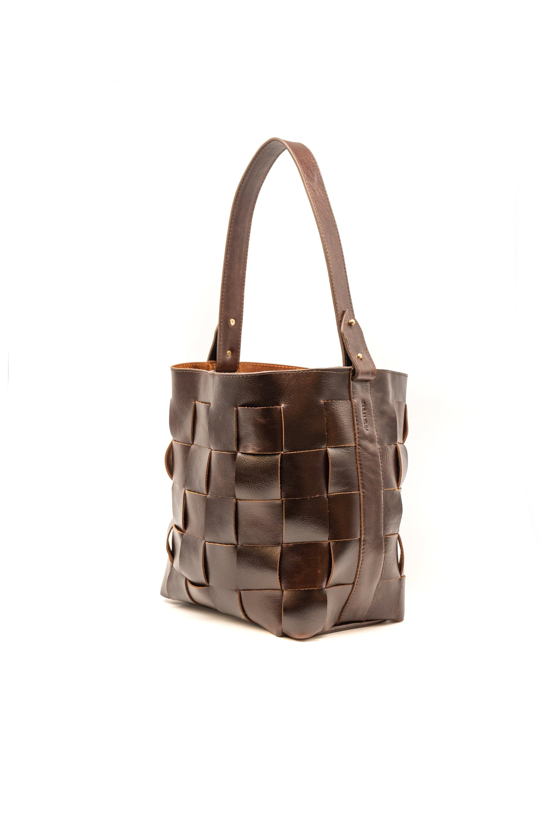 Coyote Handbag