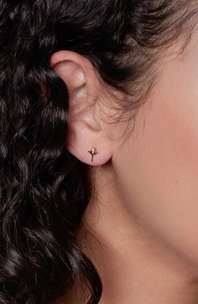 Adoring Star Stud Earring