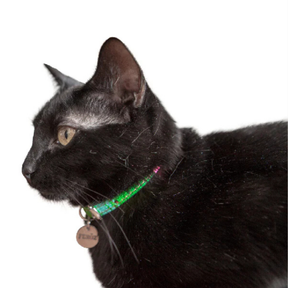 Leather Cat Collar