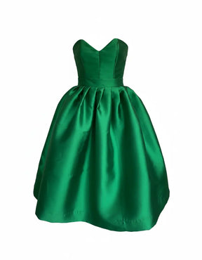 Karrie Bustier and Skirt