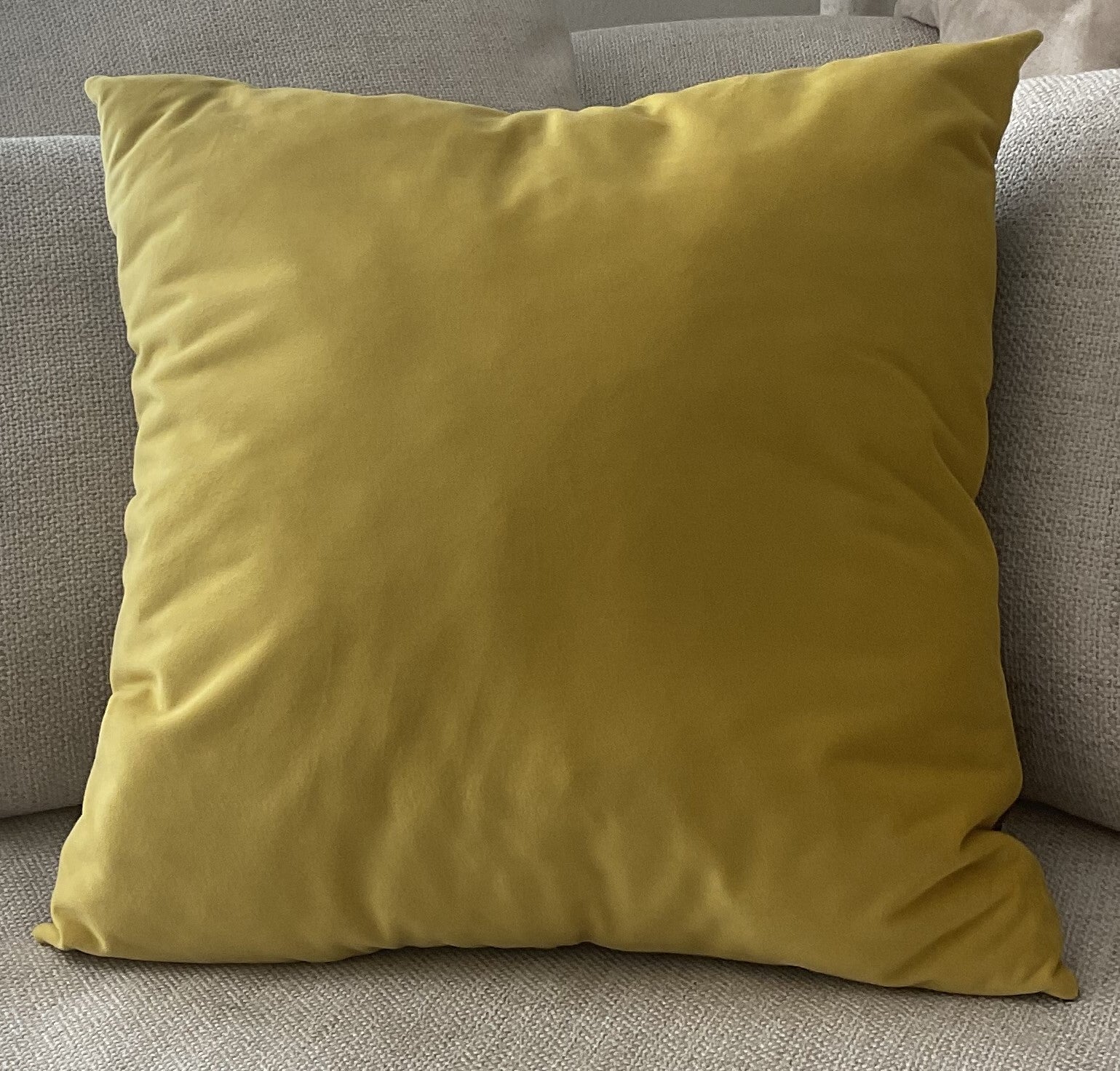 Creole Goddess Throw Pillow