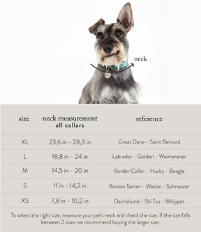 Dog Collar BASIC Ruby