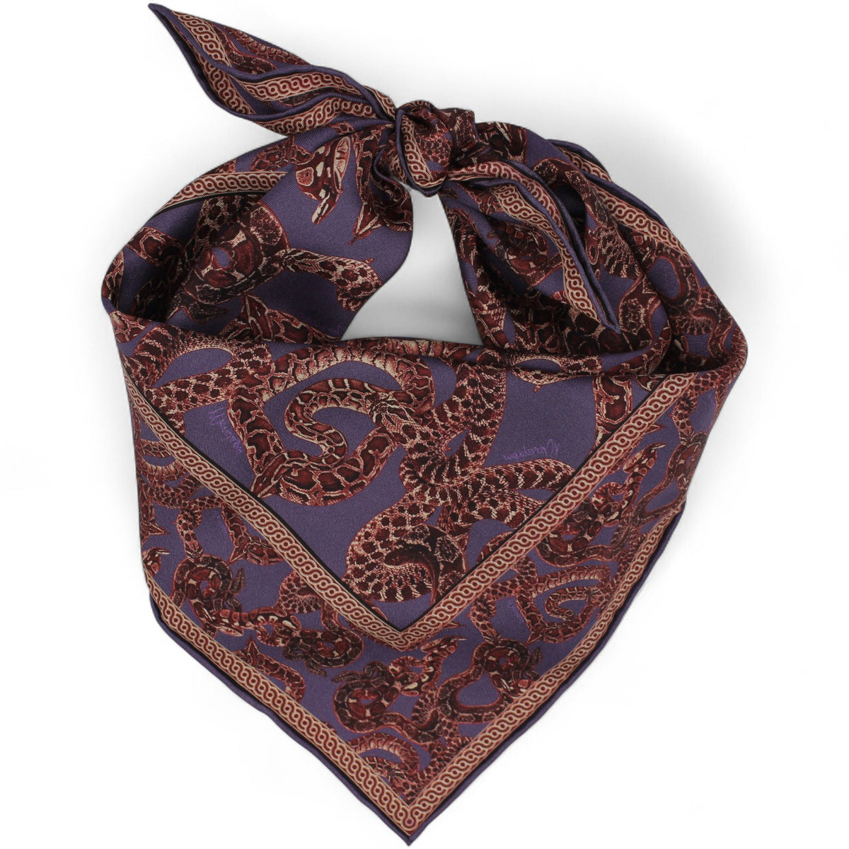 Silk Snake Scarf small