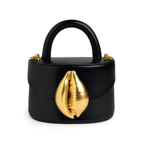 Viera Cowrie Shell