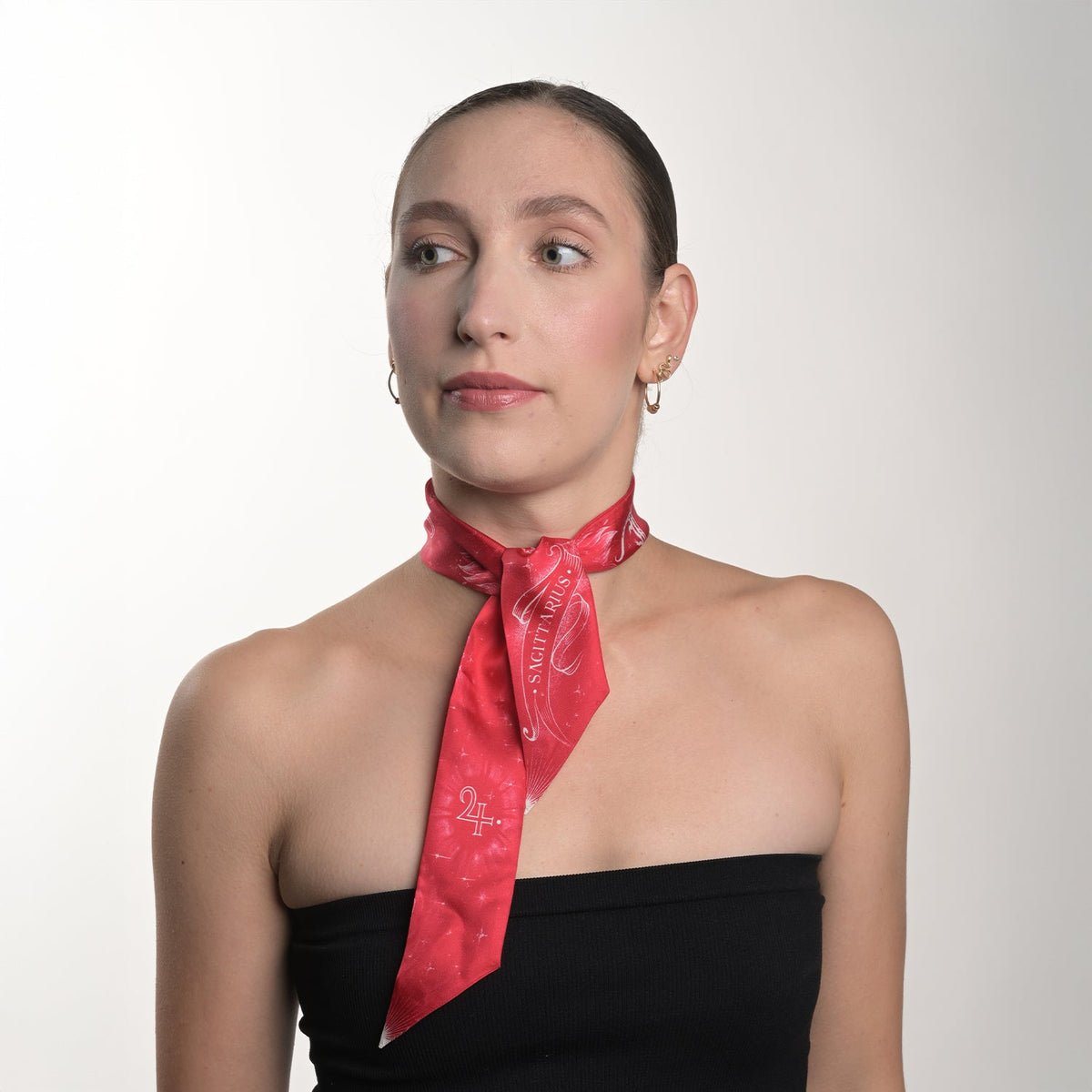 Sagittarius Zodiac Twilly