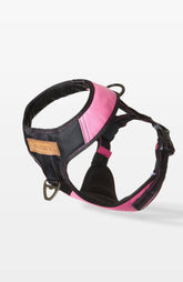 Bold Control Leather Harness