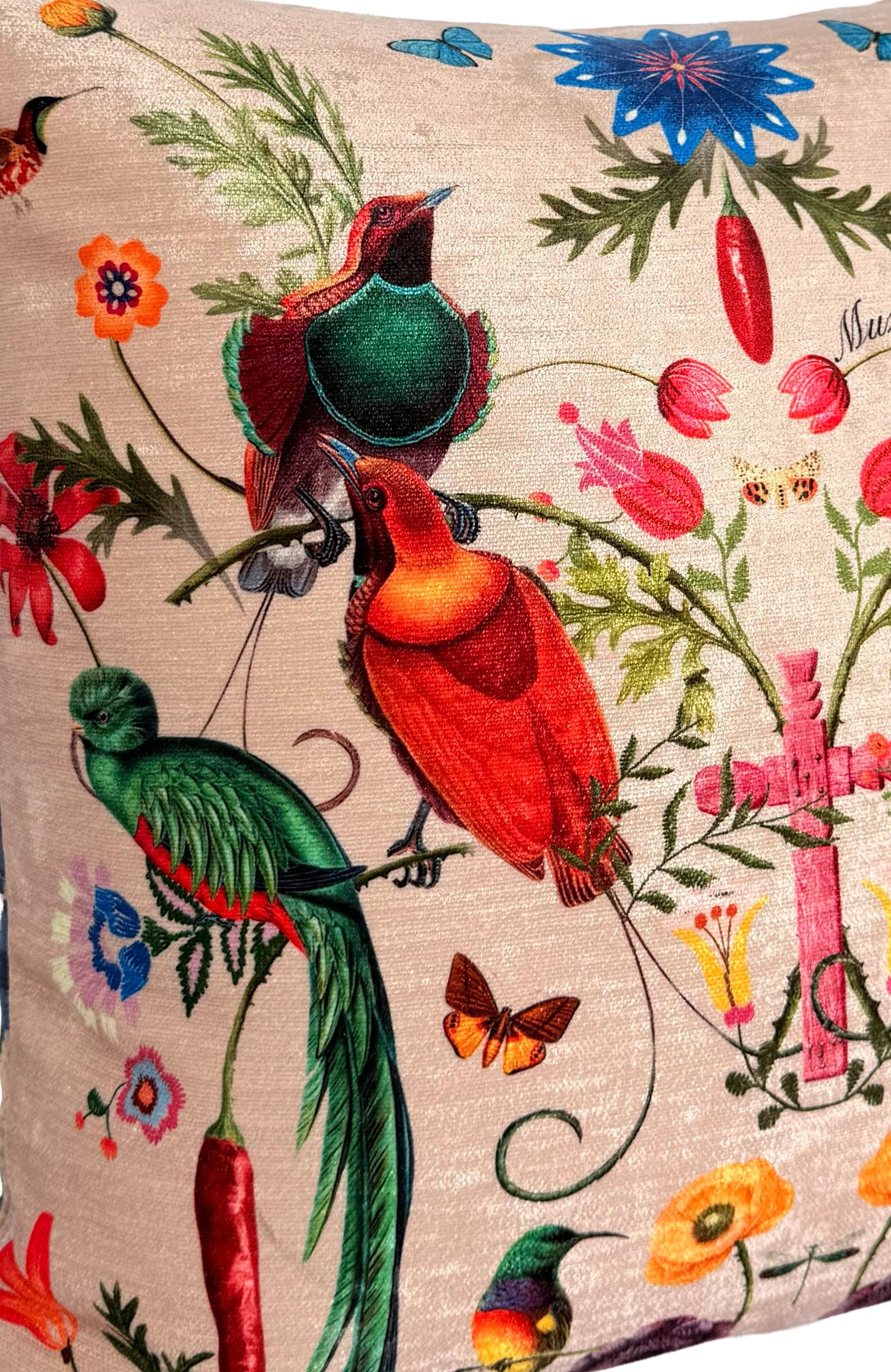 Velvet Pillow - Mexica 1