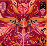 fuchsia winged garden scarf