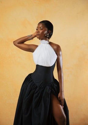 THE SWAN DRESS