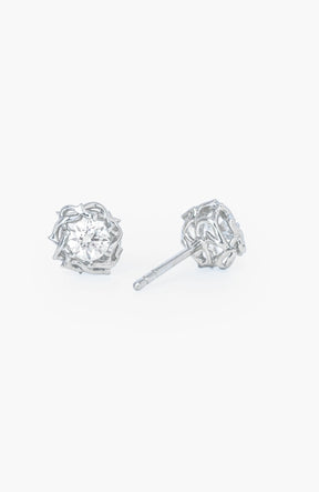 Crown of Thorns Stud Earrings