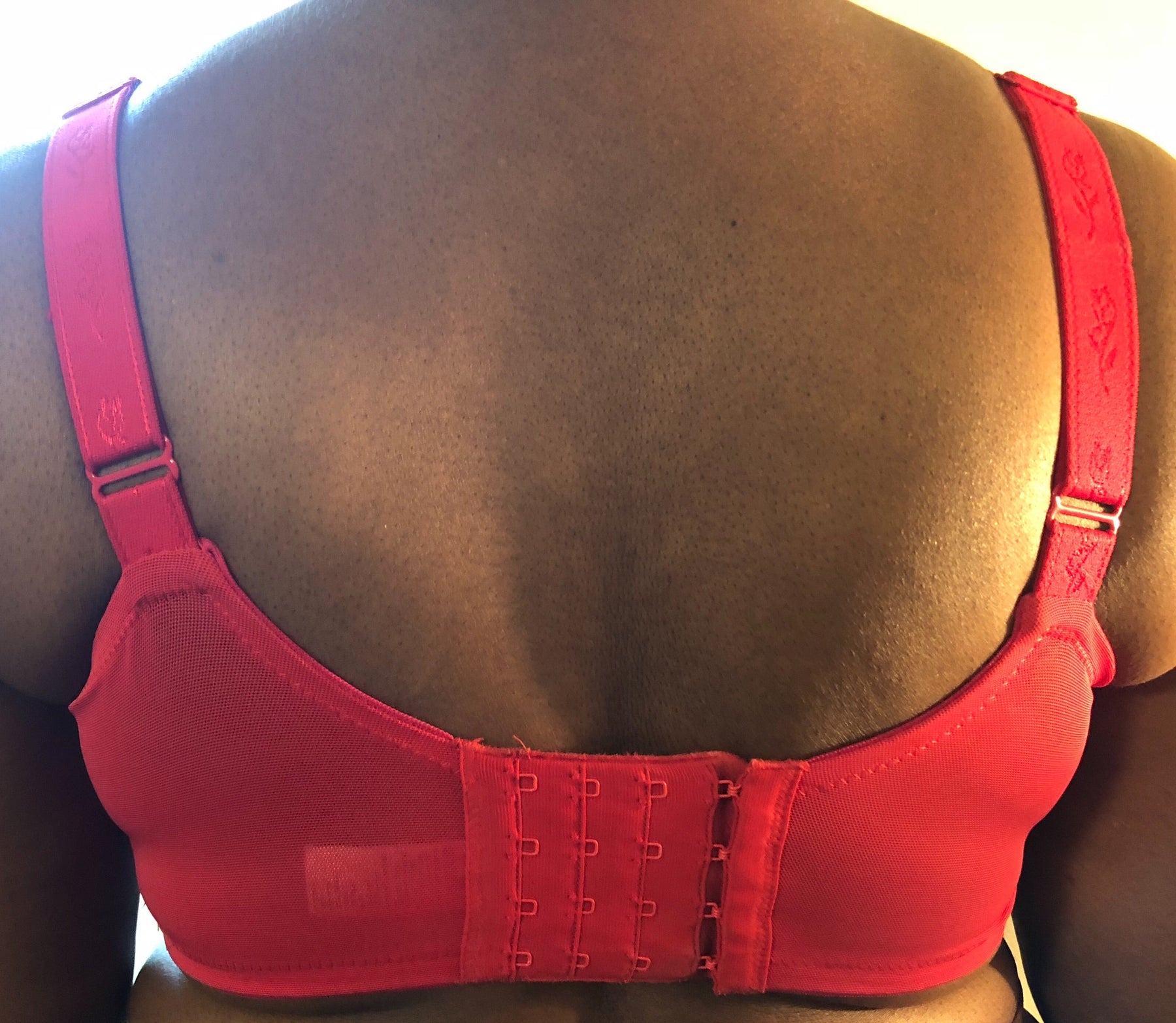 Elila Stretch Lace Full Coverage Underwire Red