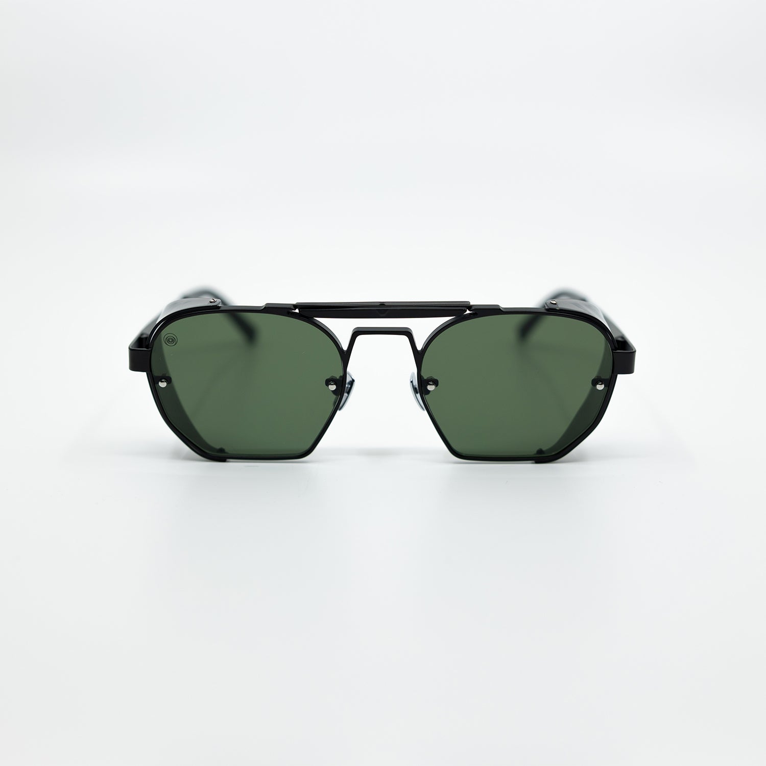 Sully Dark Sunglasses