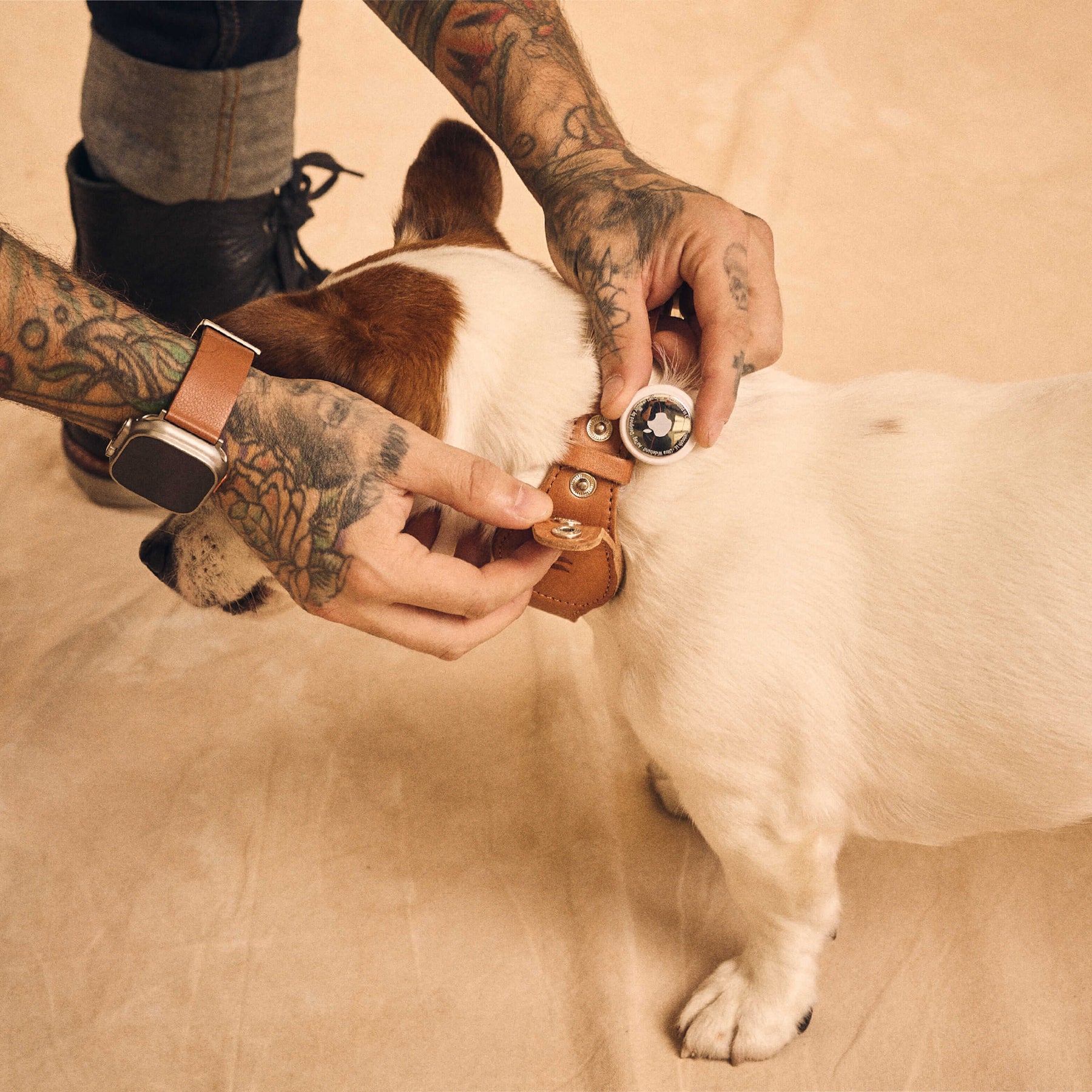 AirTag Pet Leash