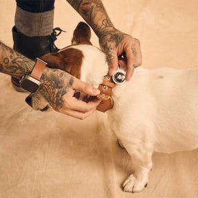 AirTag Pet Leash