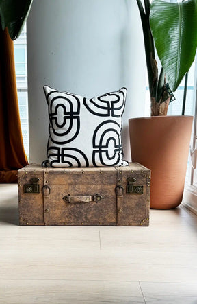 Krado Throw Pillow In Soft Velvet
