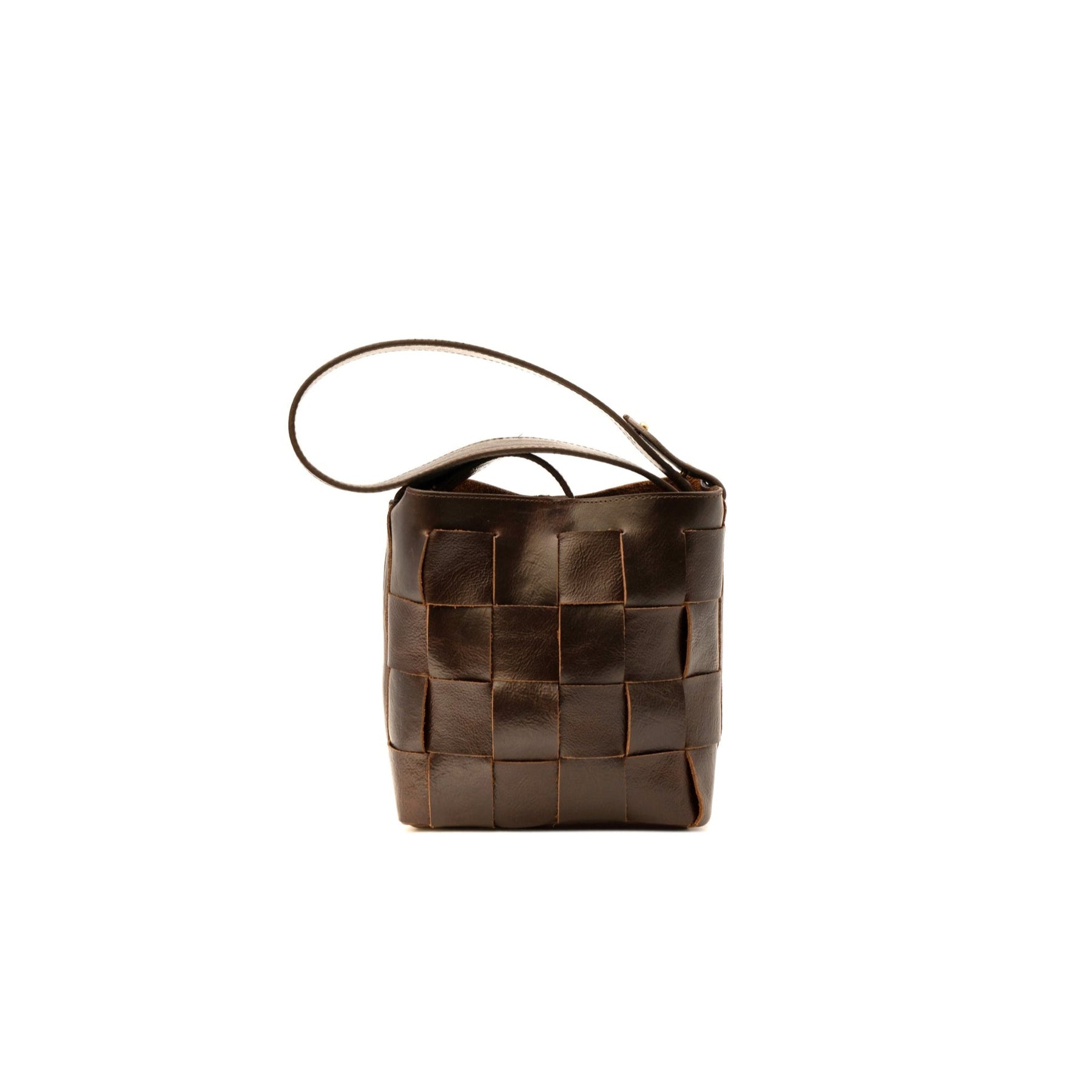 Coyote Handbag