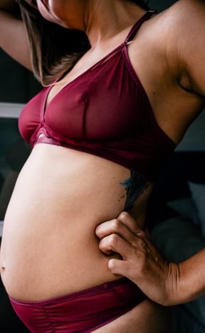 Great Curve Bra - Red Wine
