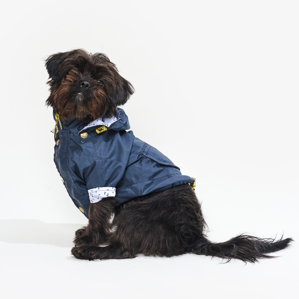 Navy Dog Raincoat