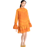 Ruffles Mini Dress