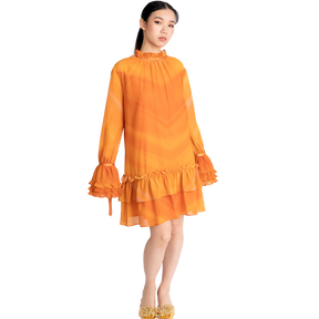 Ruffles Mini Dress