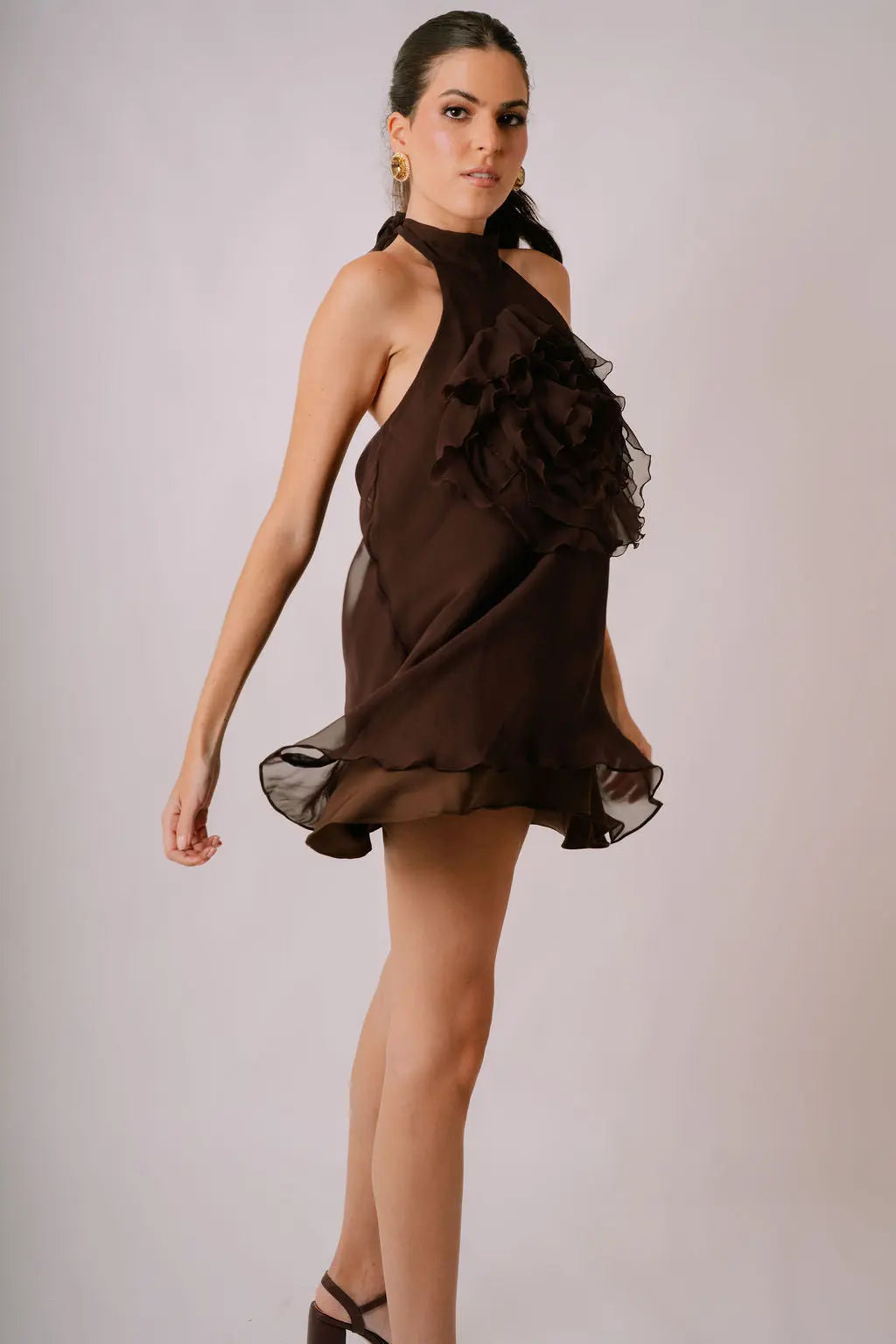 Carolina Silk Chiffon Dress