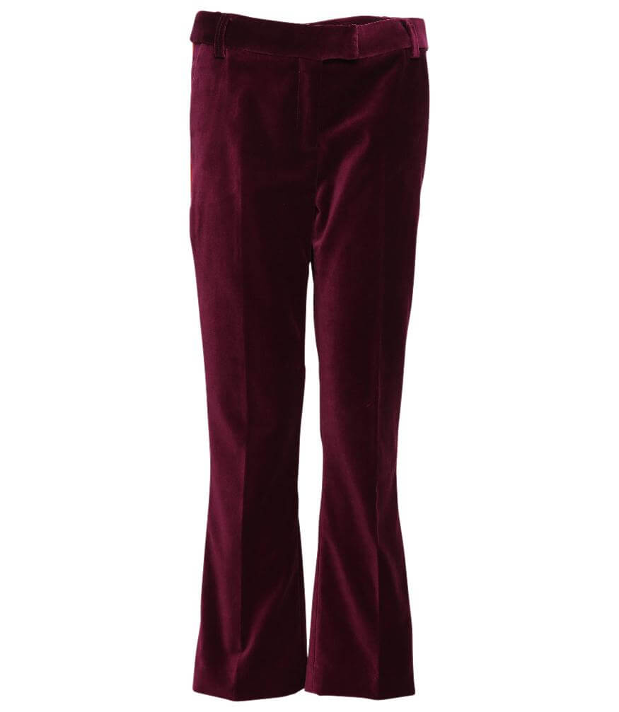 Giuliette Brown Violet Chino Pants