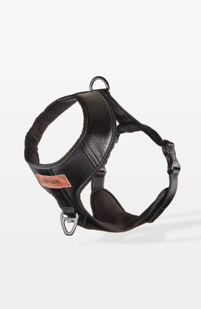 Bold Control Leather Harness