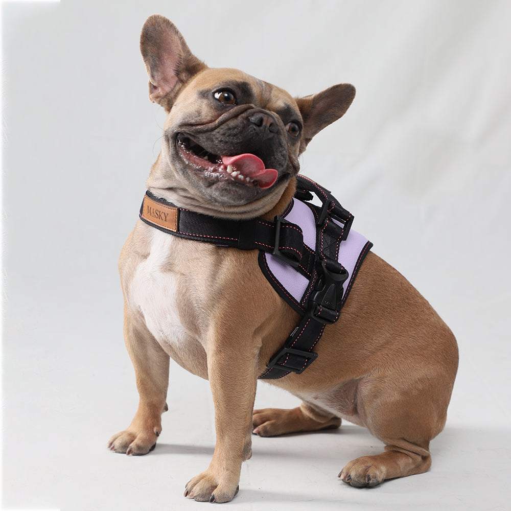 Premium Leather Anti-Choke Harness • Lilac ~ Black