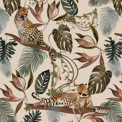 scarf among felines