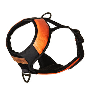 Premium Leather Easy Fit No-Pull Harness ~ Orange & Black