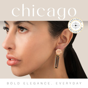 Chicago Interchangeable Earrings