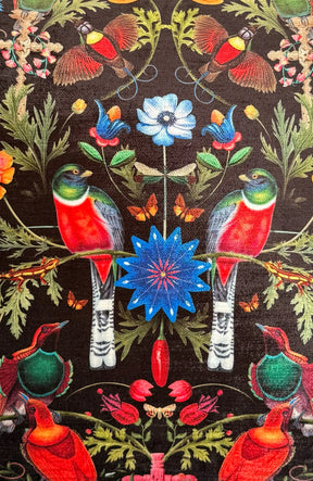 Mexica Velvet Pillow