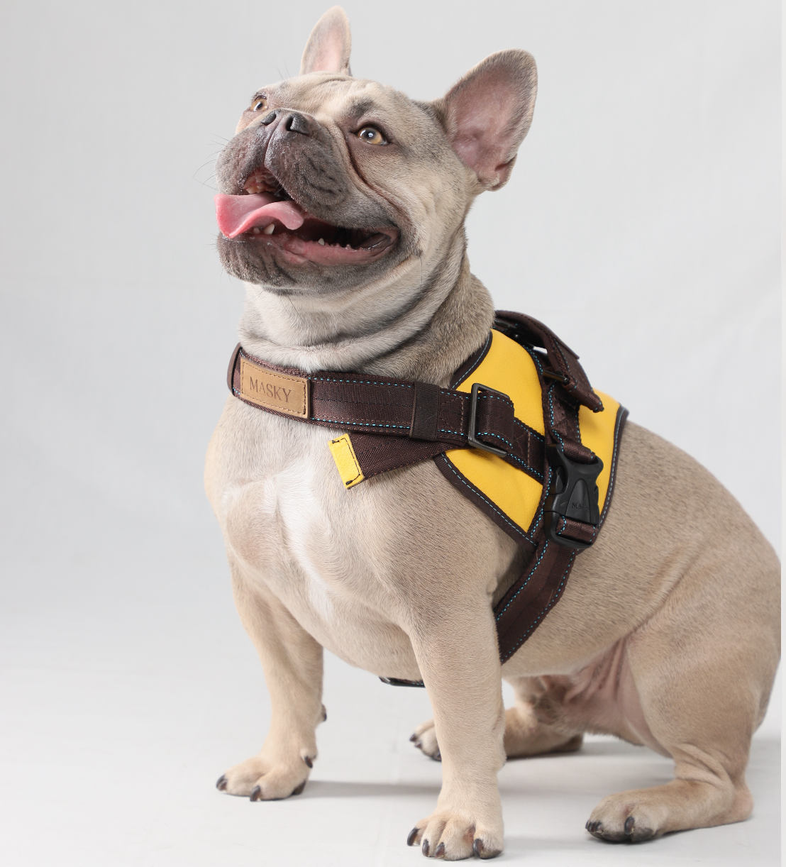 Mayo Leather Harness • Yellow ~ Brown