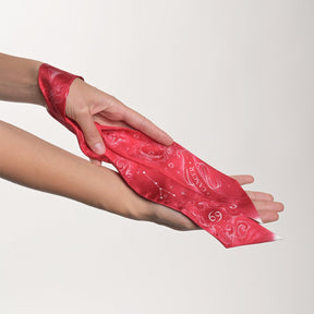 Cancer Zodiac Twilly