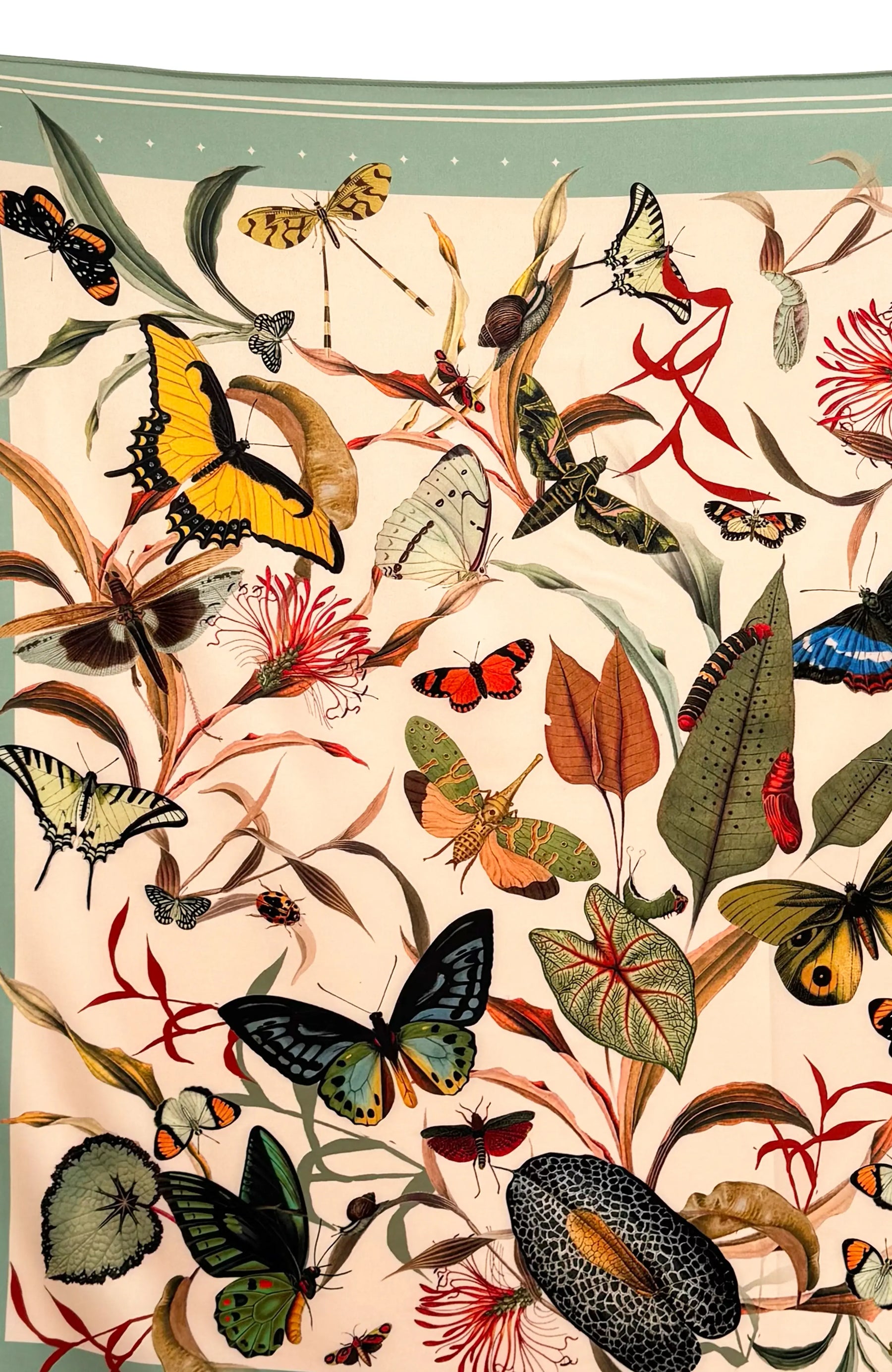 Scarf Aqua Butterfly