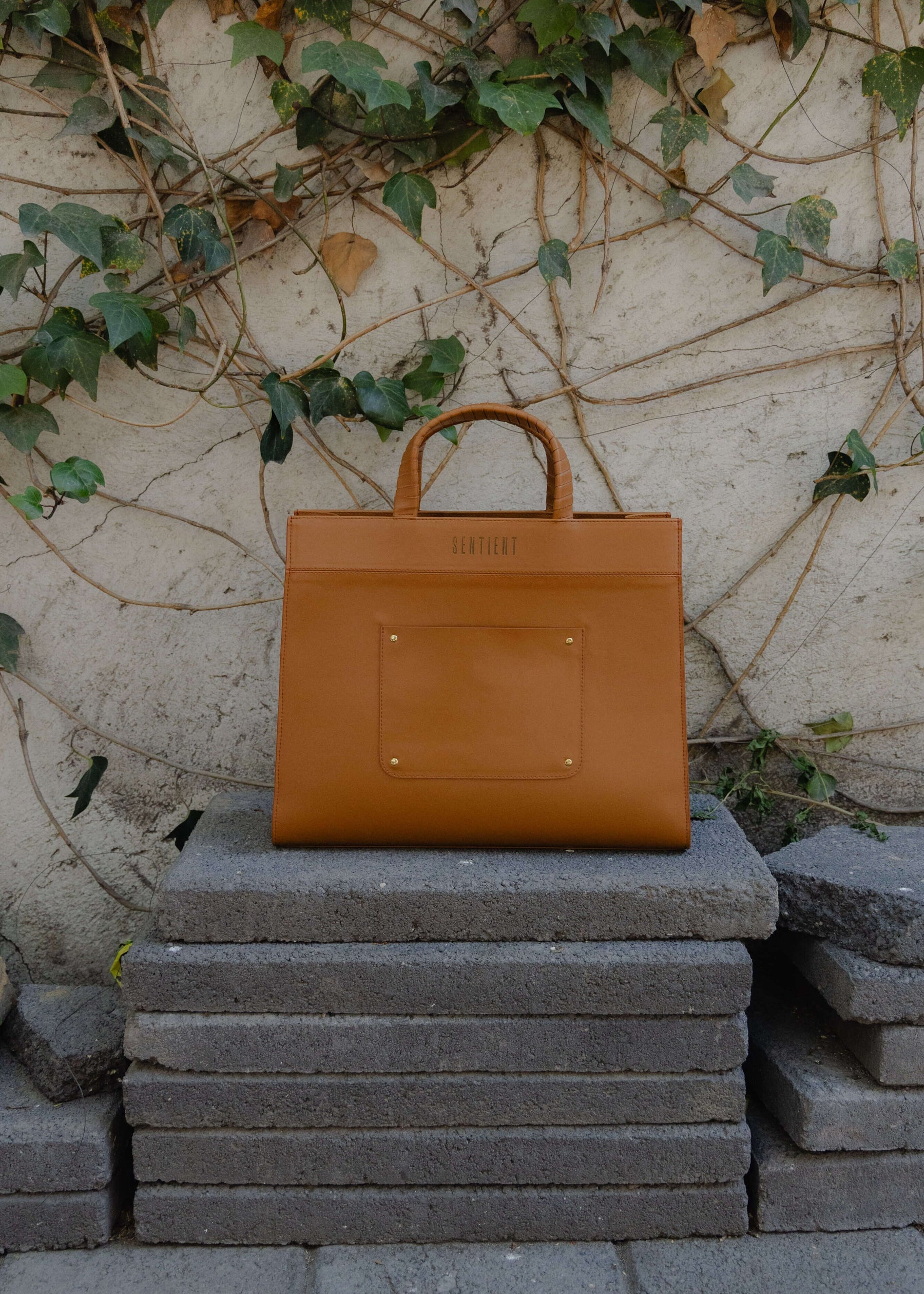 PANTHERA MAXI BROWN