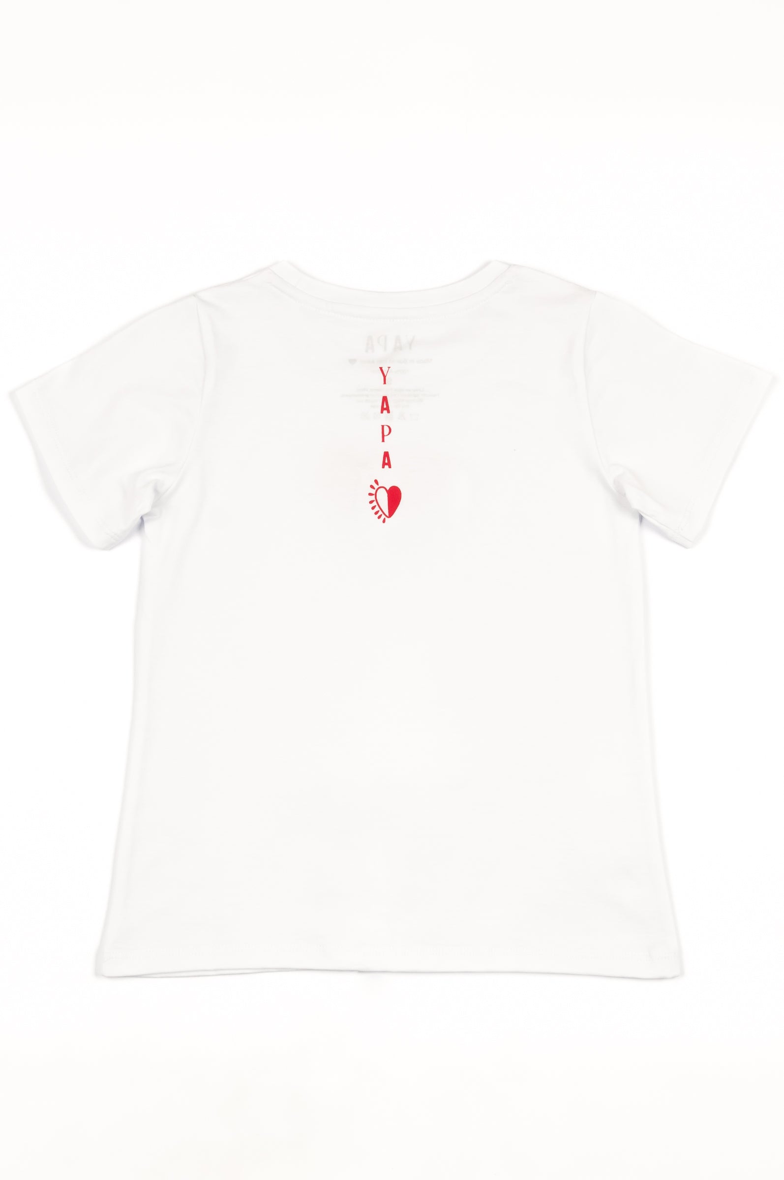 Alpaca graphic T-Shirt Carnival