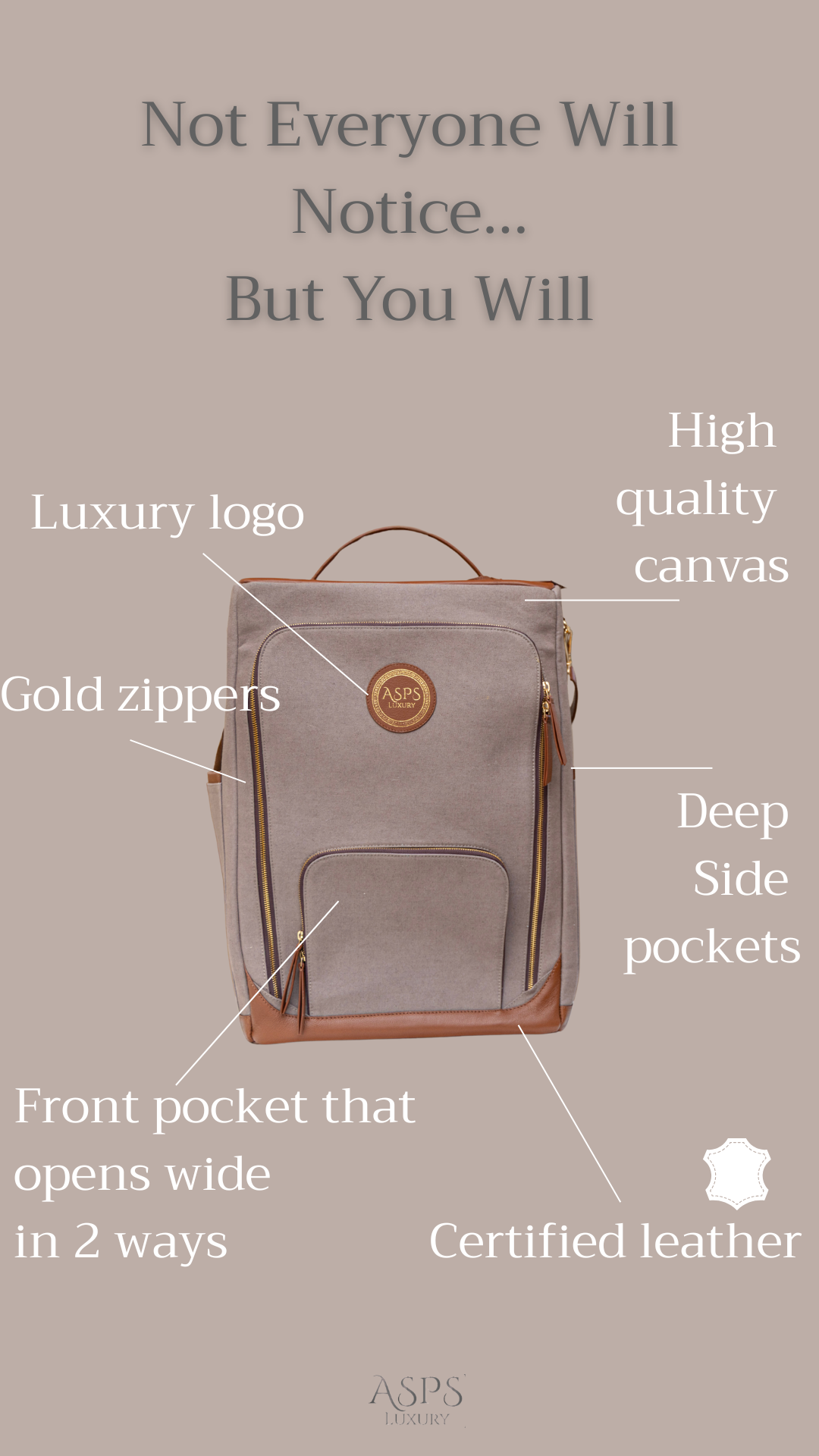 ASPS Luxury Travel shoe bag