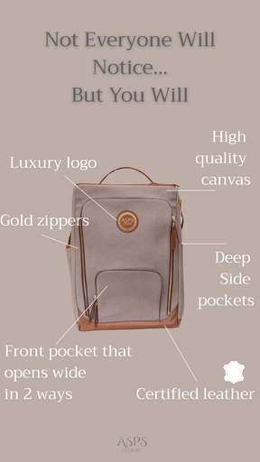 ASPS Luxury Travel shoe bag