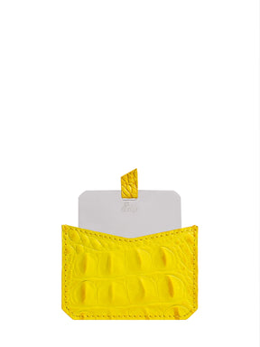 Mirror in Pouch
