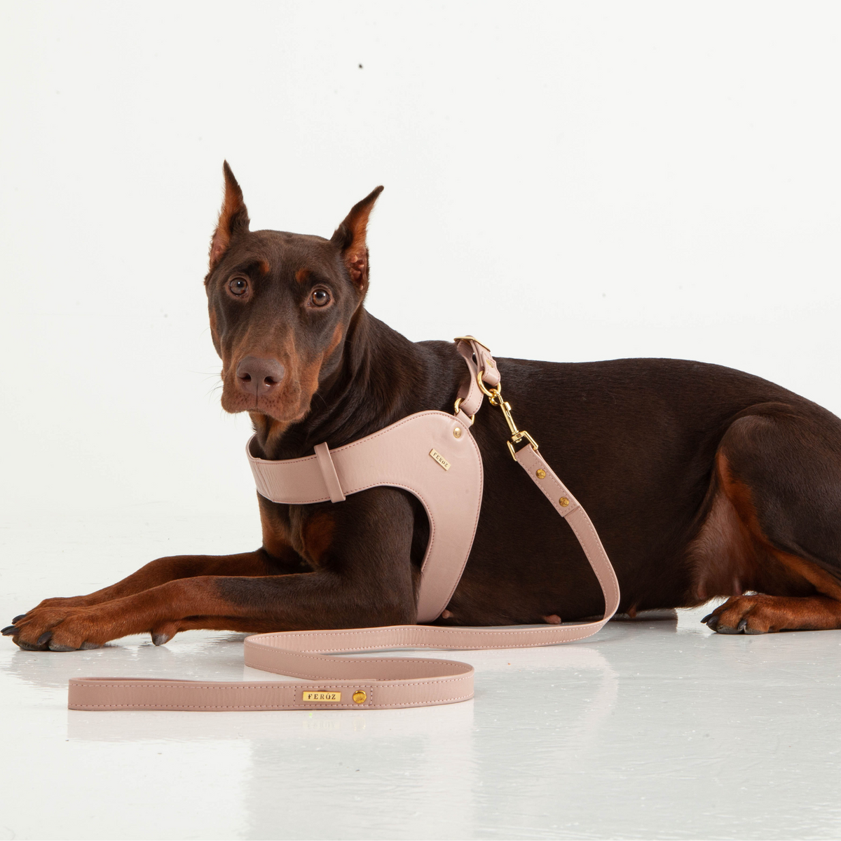 Dusty Rose Leather Dog Harness