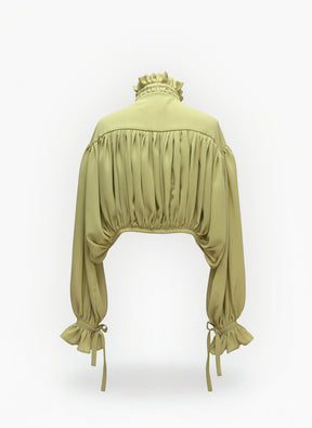Mously Pleated Blouse
