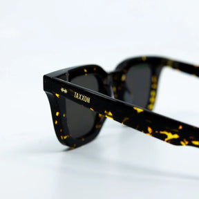 Zid Havana Sunglasses