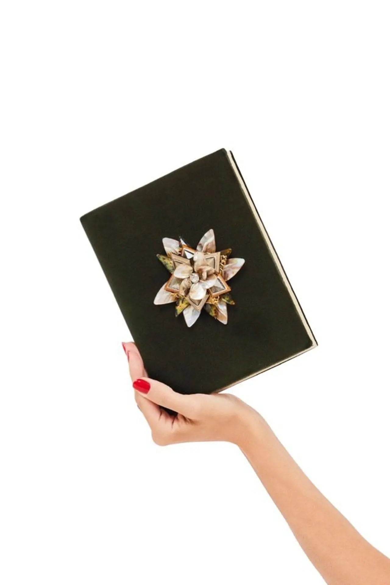 Aye Velvet Book Clutch