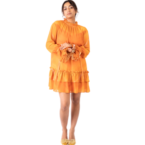 Ruffles Mini Dress