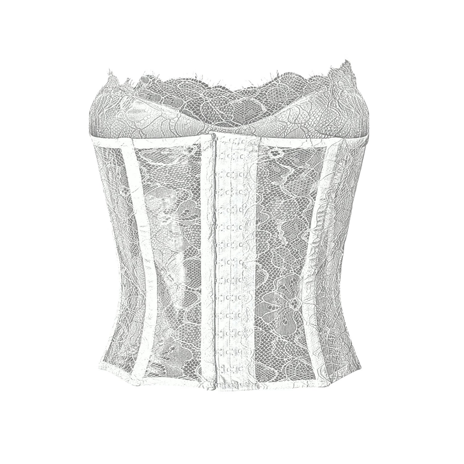 Eden Sheer Lace Corset Top