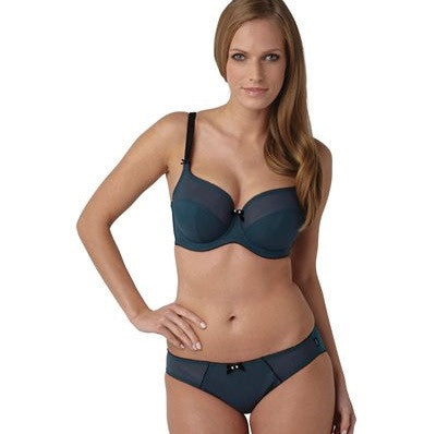 Panache Eclipse Brief Teal